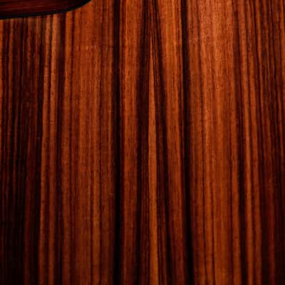Taylor 214ce Plus Grand Auditorium Acoustic-Electric Guitar image 16