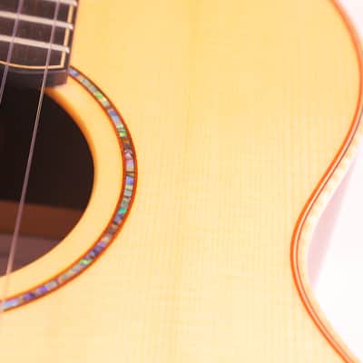 Lowden WL-35J 2024 acoustic guitar - crossover perfection made from Guatemalan rosewood and alpine spruce - check video! image 14