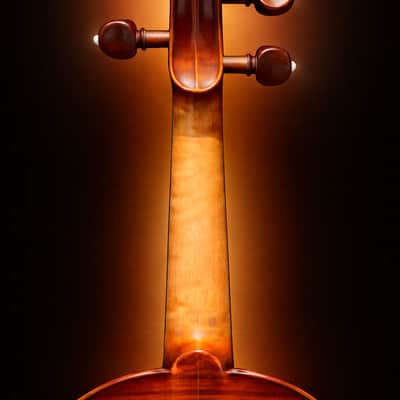 Full Size VIOLIN - PAESOLD Model 806 - Flame Maple image 7