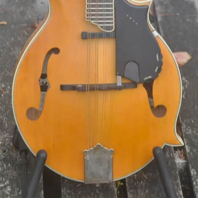 Epiphone MM-50E Professional Mandolin - Natural image 4