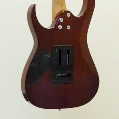 Ibanez Gio RG220PA1 Electric Guitar Trans Brown Black Burst image 5