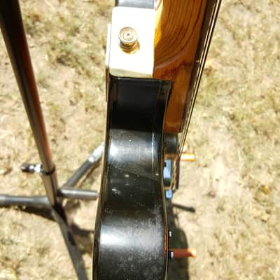 Framus 5/113 12 string electric 1960s image 6