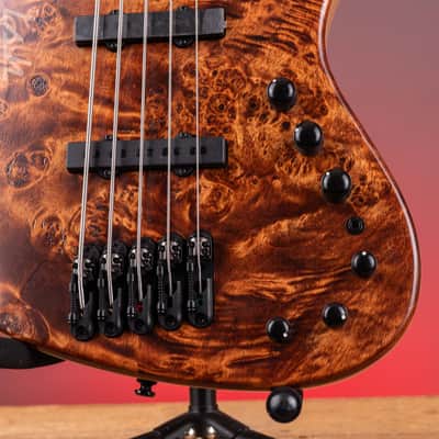 Ibanez Mode MDM1605 5-String Bass Natural Mocha Low Gloss image 5