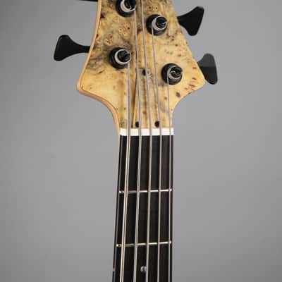 BQW Tavern series 5 string Bass image 4
