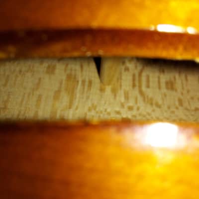 Carlo Robelli By Violmaster Model P-108 New York size 14 viola image 6