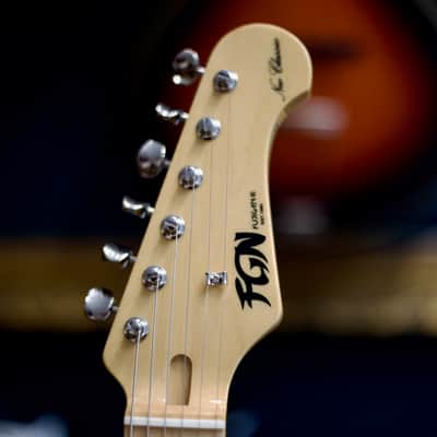 FGN NTE110MMHT - Natural image 12