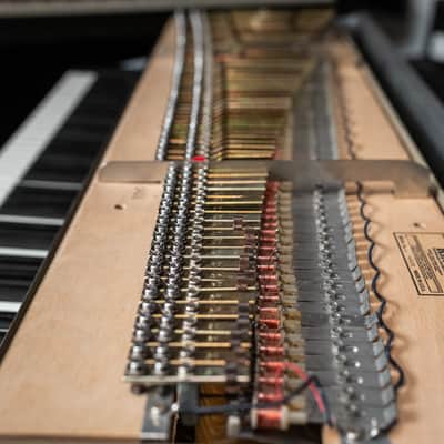 Fender Rhodes 1979 Mark I - Fully Restored/Custom Built image 11