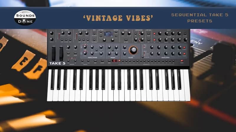 SoundsDivine 'Vintage Vibes' - Sequential Take 5 Presets image 1