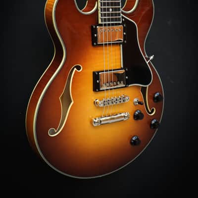 Eastman T484 Goldburst Bild 4