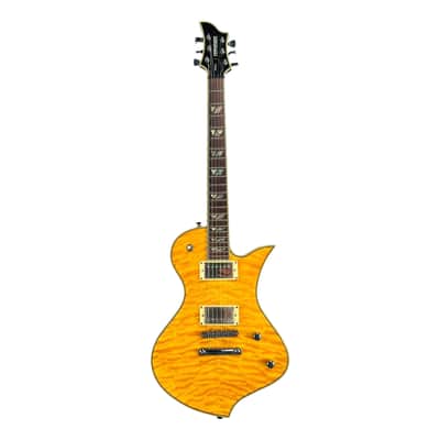 Fernandes Ravelle Custom HH
