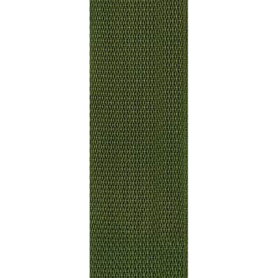 PLANET WAVES PWS107 Polypropylene Guitar Strap Gitarrengurt (50mm) grün image 2