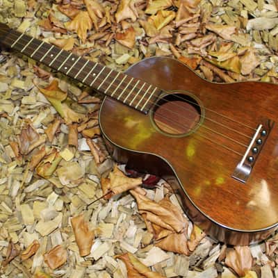 Vintage Martin 50s Tenor Ukulele image 1