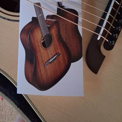 Alvarez Yairi DYM72 image 19