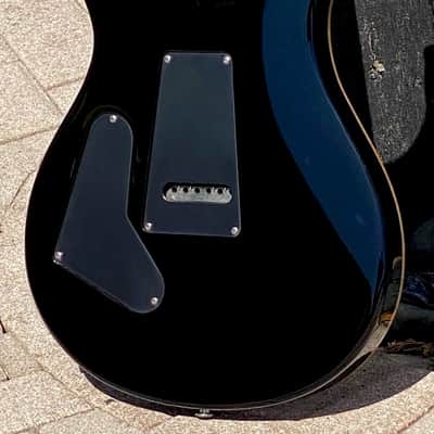 Paul Reed Smith Custom 24 "Rasta" 10 Top 1992 1 of 10 Mexi Flag finish made to Carlos Santana specs image 4