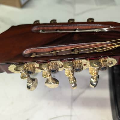 Taisamlu A-Shape Mandolin with strap and soft case.  Fresh set up.  New strings.  Nut and bridge saddle are bone.  Plays nicely.  Sounds great.  Its loud! image 19