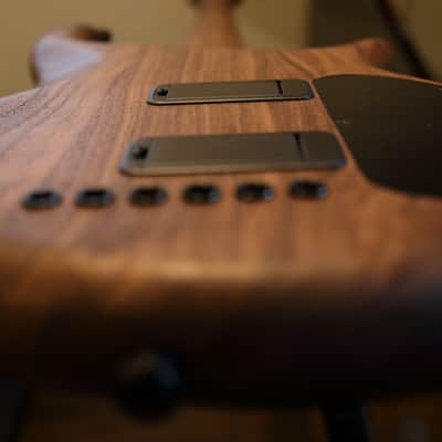 Kiesel Claro Walnut Icon 6 with Aguilar DCB Pickups image 8