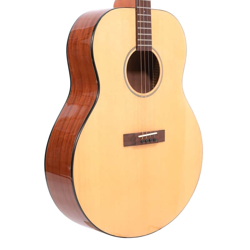 Gold Tone TG-18 Solid Spruce Top Mahogany Neck 4-String Acoustic Tenor Guitar w/Vintage Design & Hard Case image 1