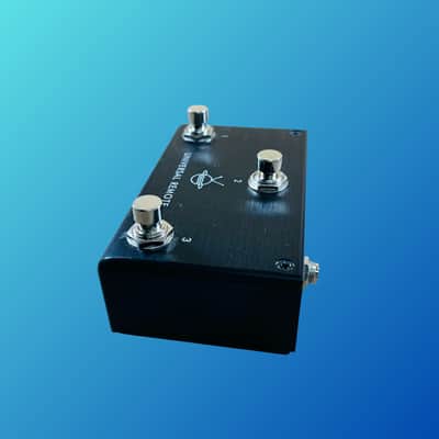 Pigtronix Universal Remote Switch image 3