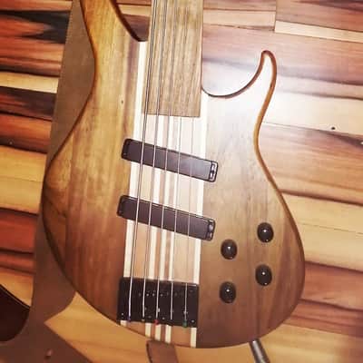 Harley Benton Fretless Bass 5 string HBZ-2005FL image 1