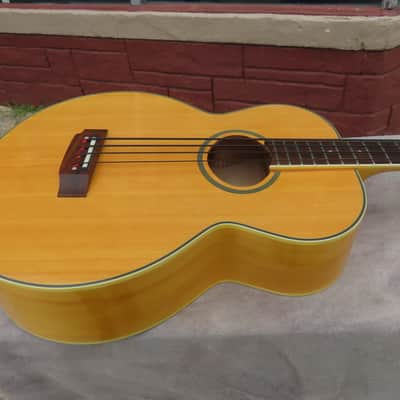 EPIPHONE 1997 EL CAPITAN ACOUSTIC ELECTRIC JUMBO BASS ORIGINAL MINT w/TAGS NOS image 2