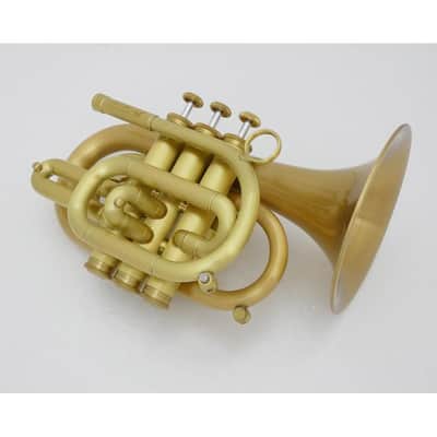 CAROL BRASS Carol Brass / N3000(D) ALL-SATIN GB [Bb Pocket Trumpet] [Pre-shipment adjustment for peace of mind] image 2
