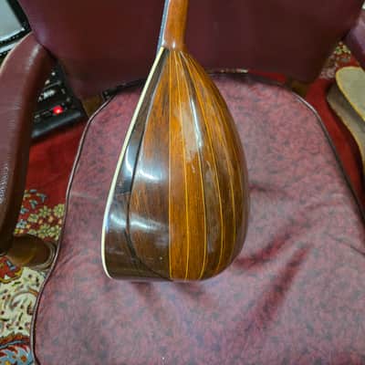 Washburn Cremonatone 215 Bowlback Mandolin w Original Case 1890s-1910s image 10