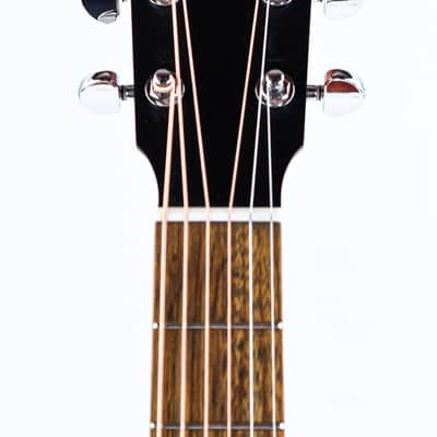 Eastman PCH1 GACE image 2