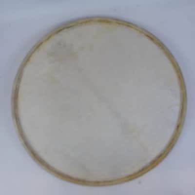 *Wilson 24" Calf Skin Bass Drum Head Vintage 20s Batter/Resonant Kick Calfskin image 1