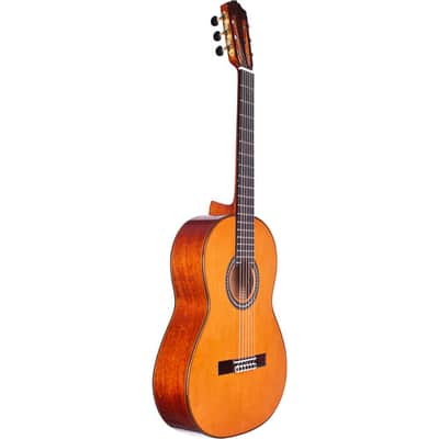 Immagine Cordoba C9 Parlor Nylon String Acoustic Guitar Natural w/ Case - 9