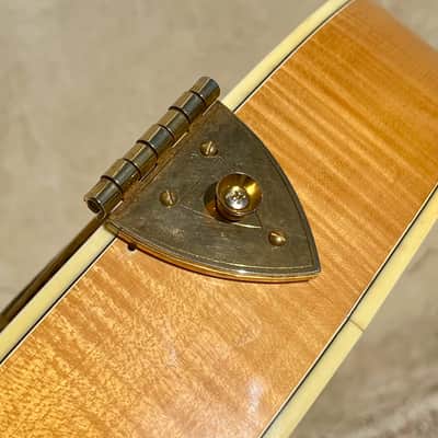 D'Angelico New Yorker Excel Owned by Brian Setzer image 22