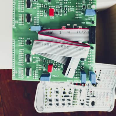 Buchla TipTop audio 258 Dual Oscillator 2023 - Bianco image 8
