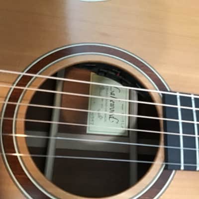 Lakewood Natural Series M-14 CP image 9