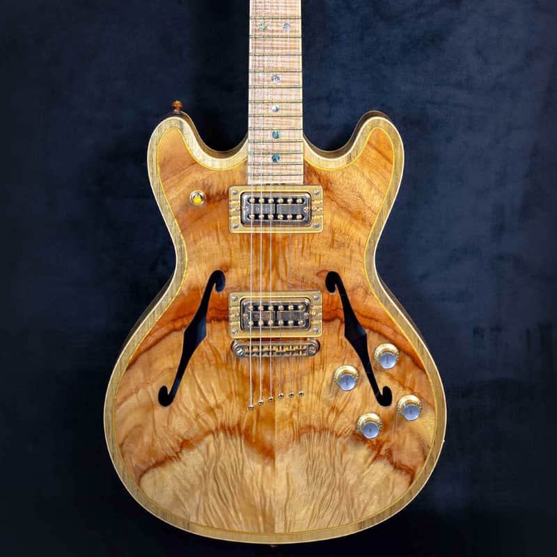 Andy Taylor Custom Semi Hollow Custom 2023 - Natural image 1