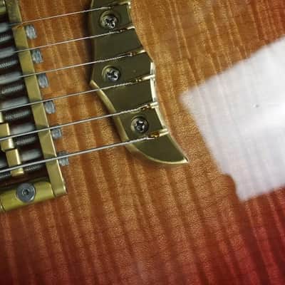 Alembic Skylark 6 String 25.5 inch Long Scale Electric Guitar with Case image 4