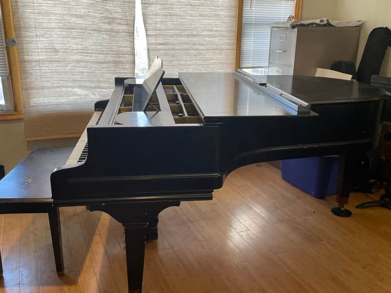 Chickering Grand piano 7foot image 1
