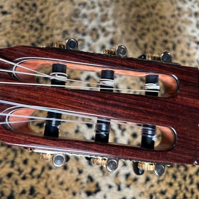 Cordoba C7 CD/IN Classical Guitar Natural 2025 image 13
