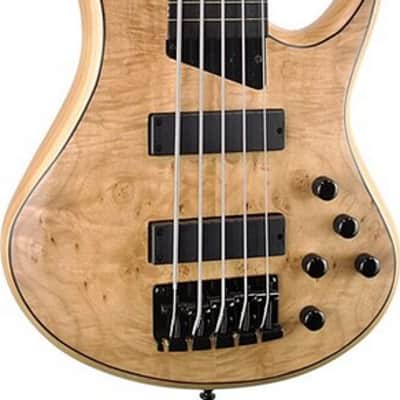 MTD Kingston Z5 Fretless Ebony Fingerboard, Natural Maple Burl Matte image 5