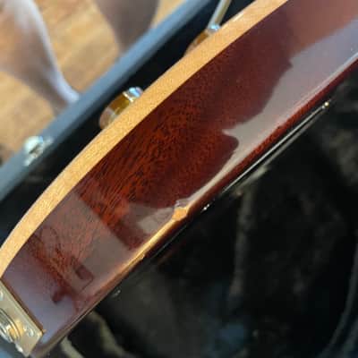 PRS DGT David Grissom Tremolo Signature 2024 Tobacco sunburst image 7