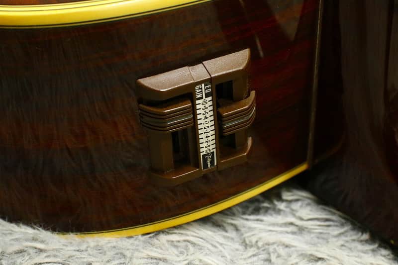Very Rare Vintage Takamine PTS-015 RY COODER Takamine Top grade 