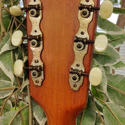 Framus Texan 5/196 Acoustic Guitar - Sunburst West Germany - Vintage 1969 Model image 17
