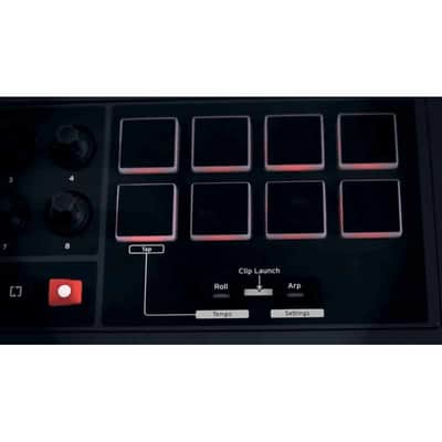 Novation IMPULSE-25 Impulse 25 image 4
