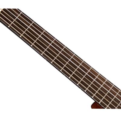 Washburn C5CE Classical Series Acoustic/Electric Guitar - Open Box image 2