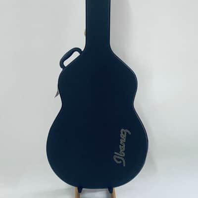 Ibanez 41 Inch Acoustic Guitar Hard Case in Black image 1