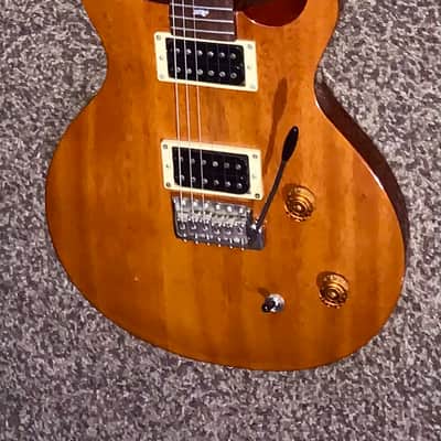 PRS SE Santana Standard Tortoise Shell electric guitar image 2