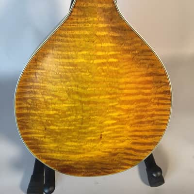 Unicorn Standard Model 1976 Sunburst Shaded image 5