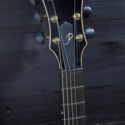 Eastman AR480CE John Pisano 30th Anniversary Archtop Electric Guitar Sunburst image 24