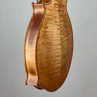 Tonedevil FM Mandolin 2026 - Tobacco Honey Amber Satin image 9