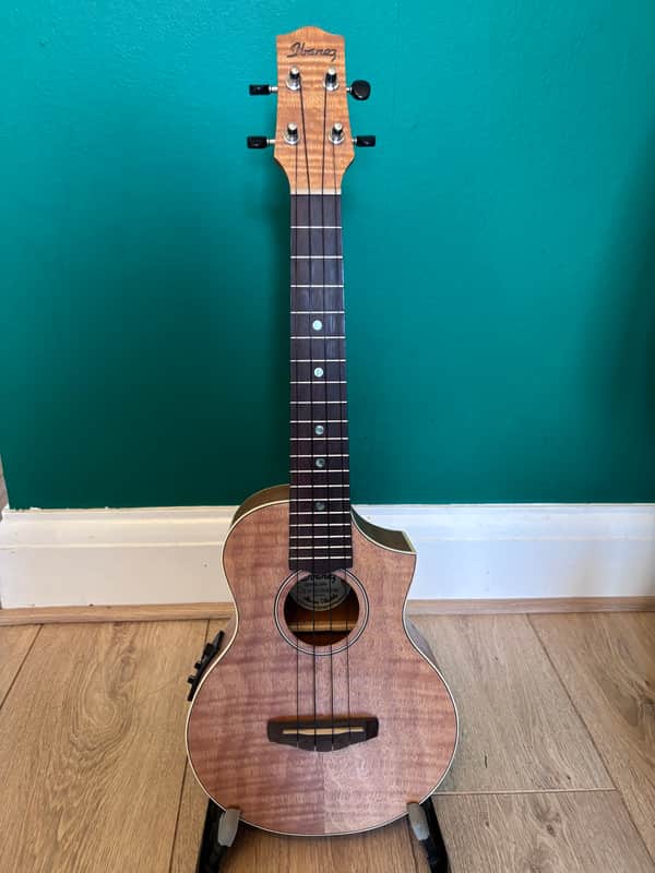 Ibanez UEW15E-OPN image 1