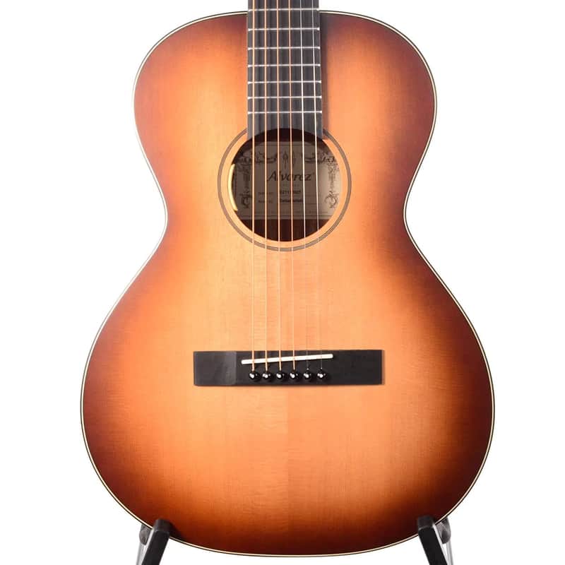 Blues Delta DeLite Small Body Guitar w/GigBag image 1