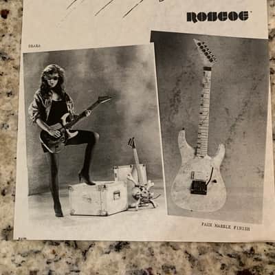 Roscoe Guitars Poster Brochure & More image 2